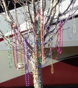 Soon the beads will sparkle between green leaves and white lilac like flowers of Myrtle!